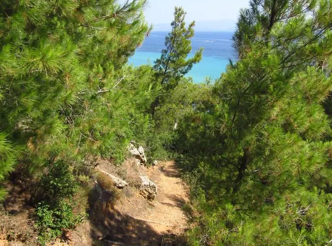 Y Sea View Afytos