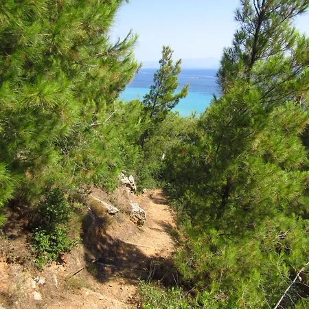 Y Sea View Afytos